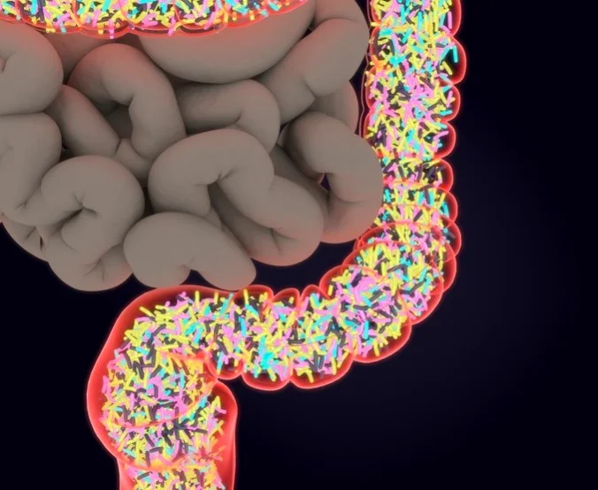 Artist's impression of bacteria hanging out in the large intestine. Image via: https://bit.ly/2HrSUhv