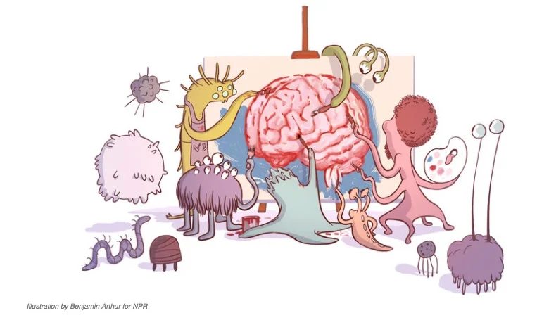 Scientists are painting a clearer picture of how gut bacteria interact with the mind. Illustration by Benjamin Arthur for National Public Radio: https://n.pr/2Lvb04r