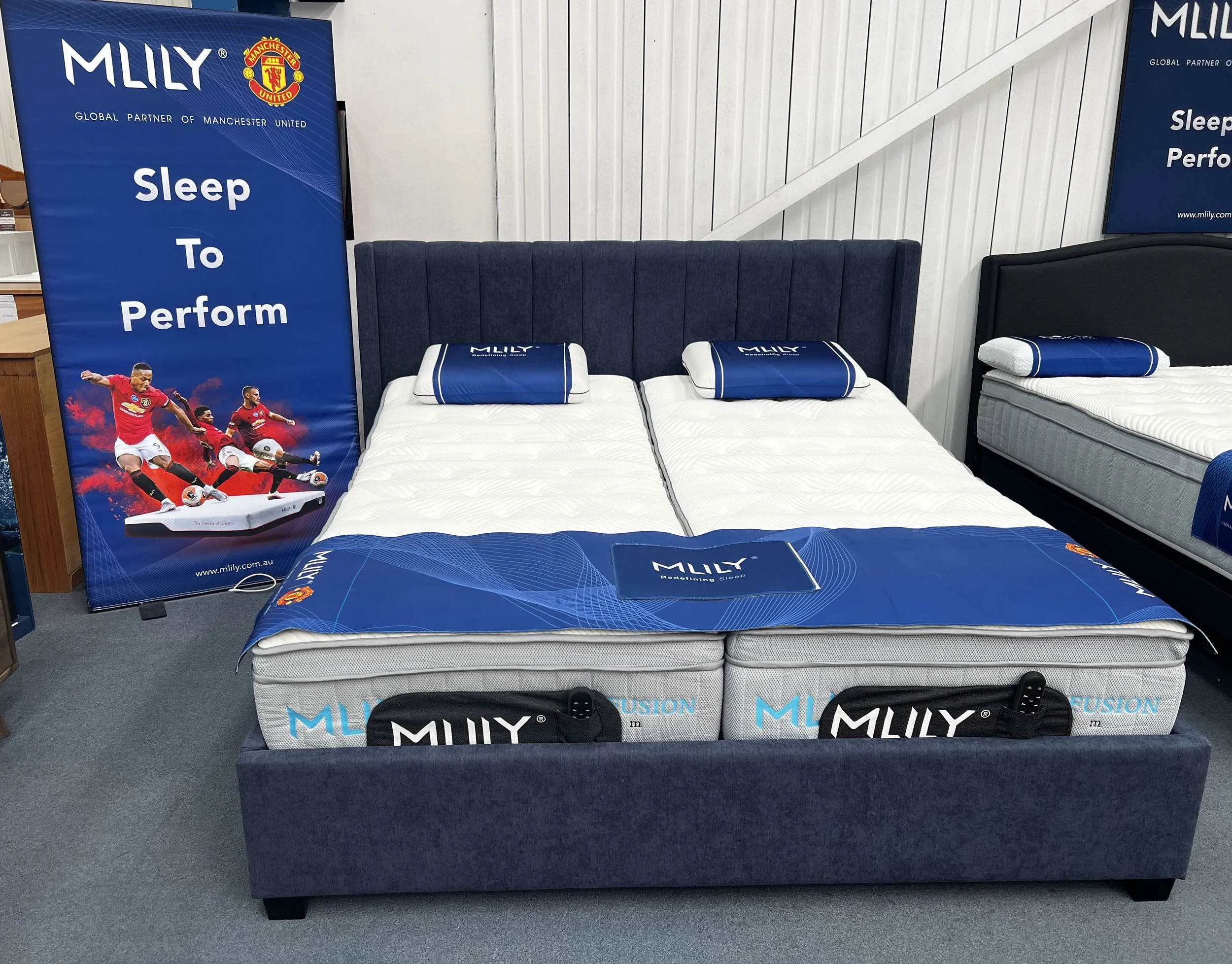 Electric Beds — Furniture & Bedding