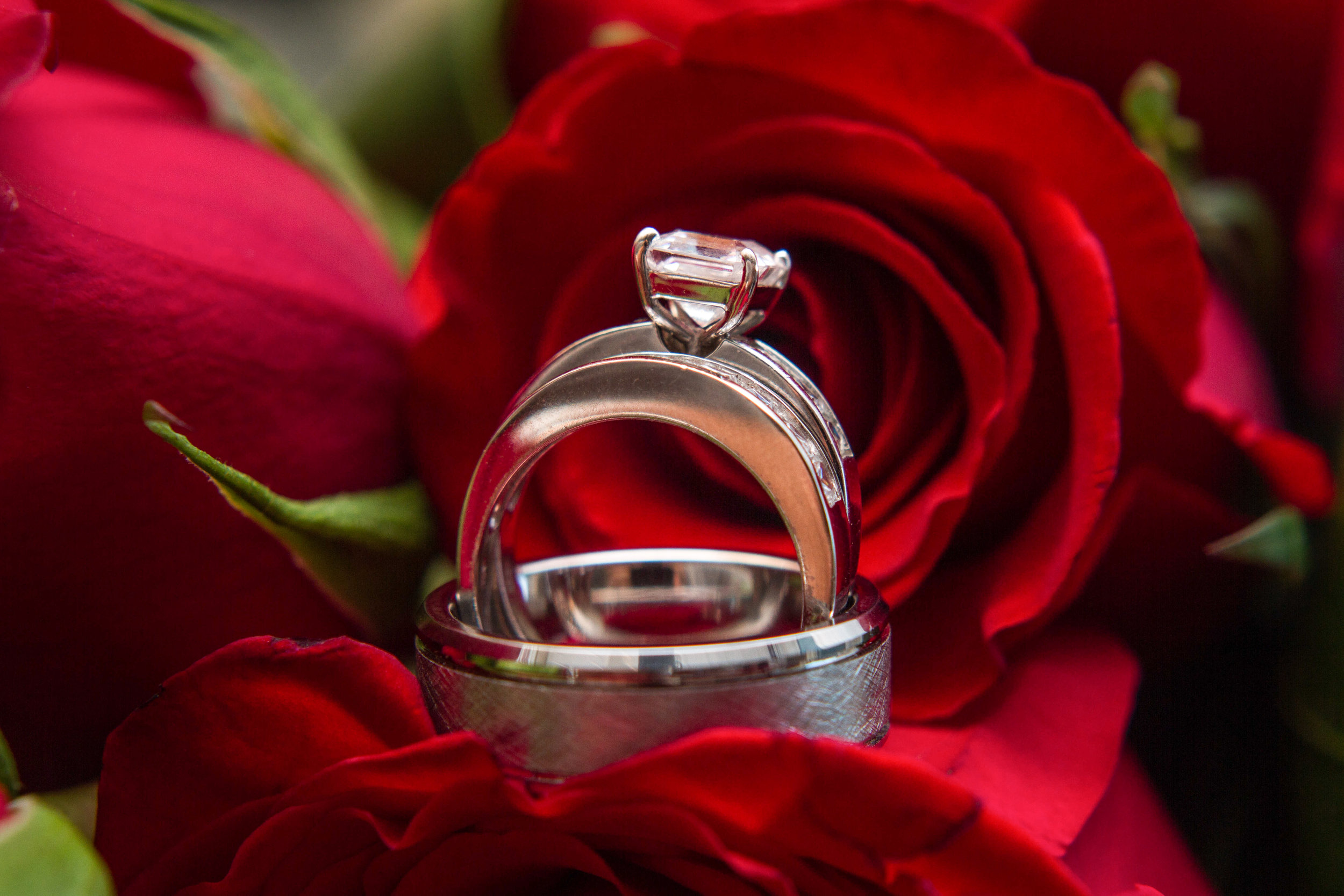 A diamond engagement ring placed on a red rose with dark blurred background.