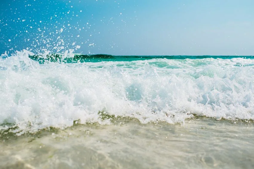 Ohiwa beach.jpeg