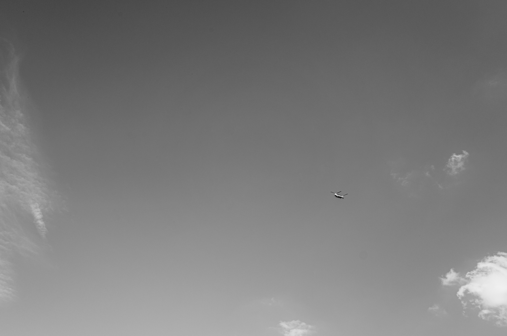 R0231214-2.png