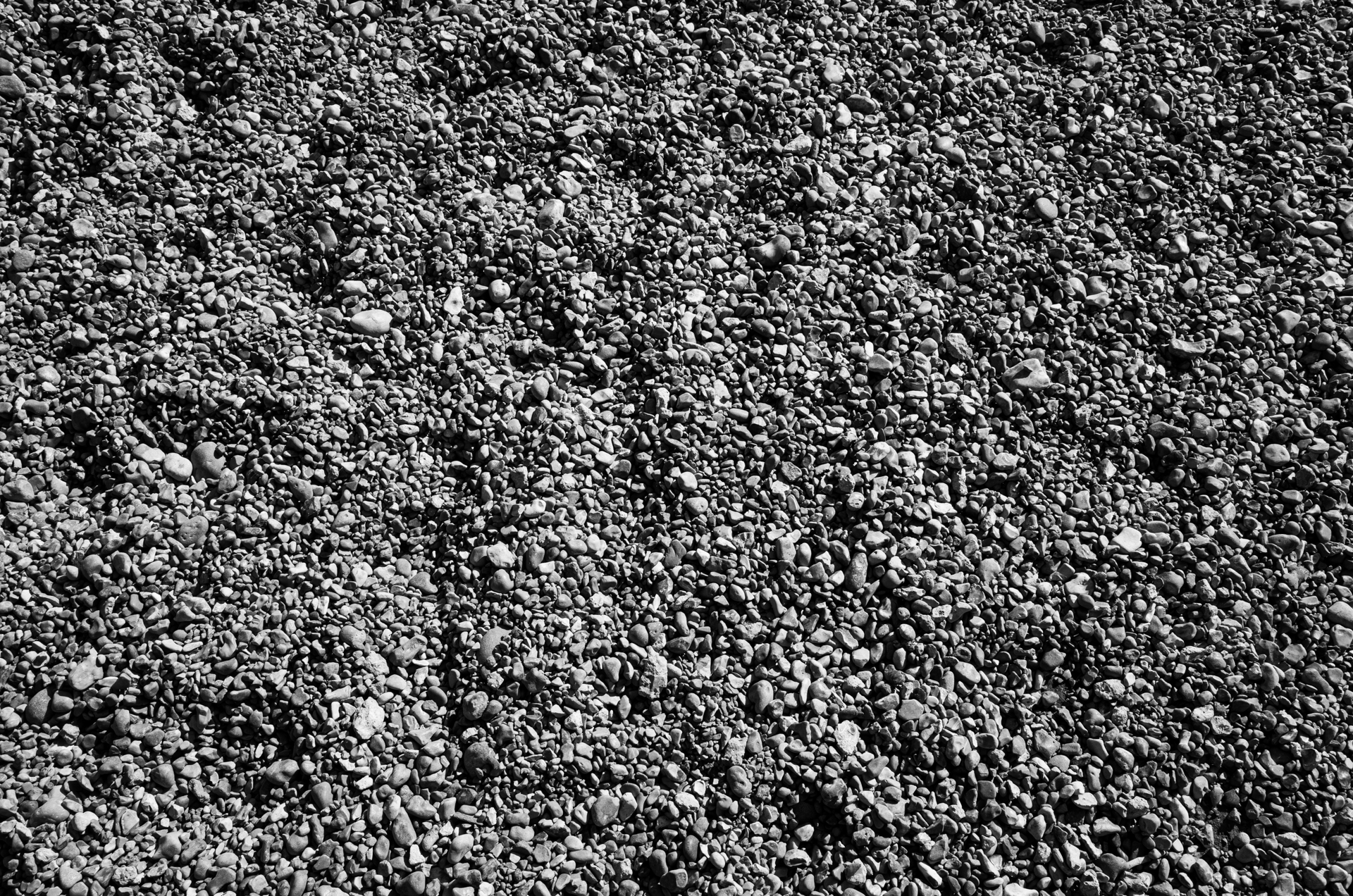 R0231314.png