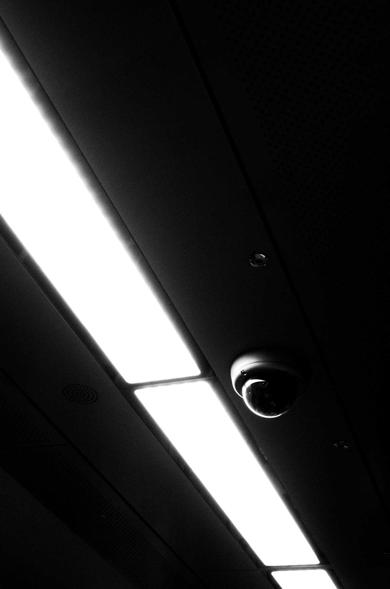R0231324.png
