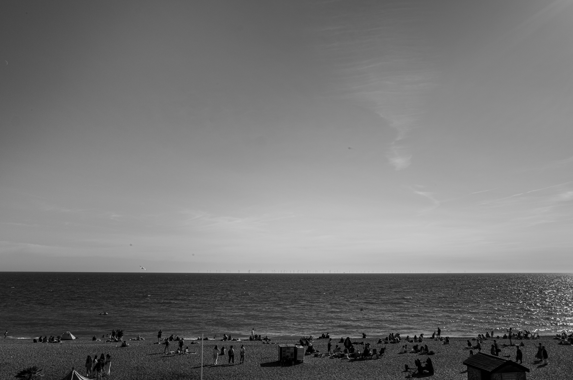 R0231313.png