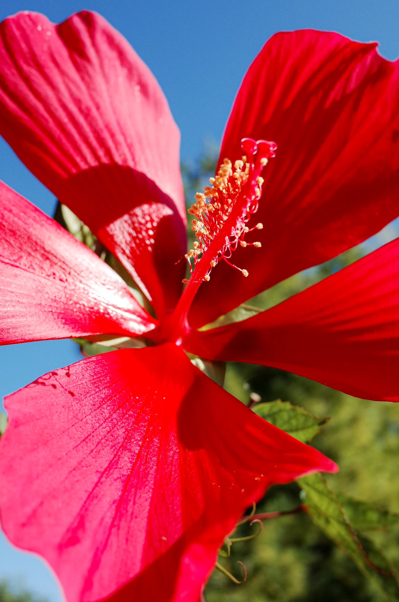 R0240256.png