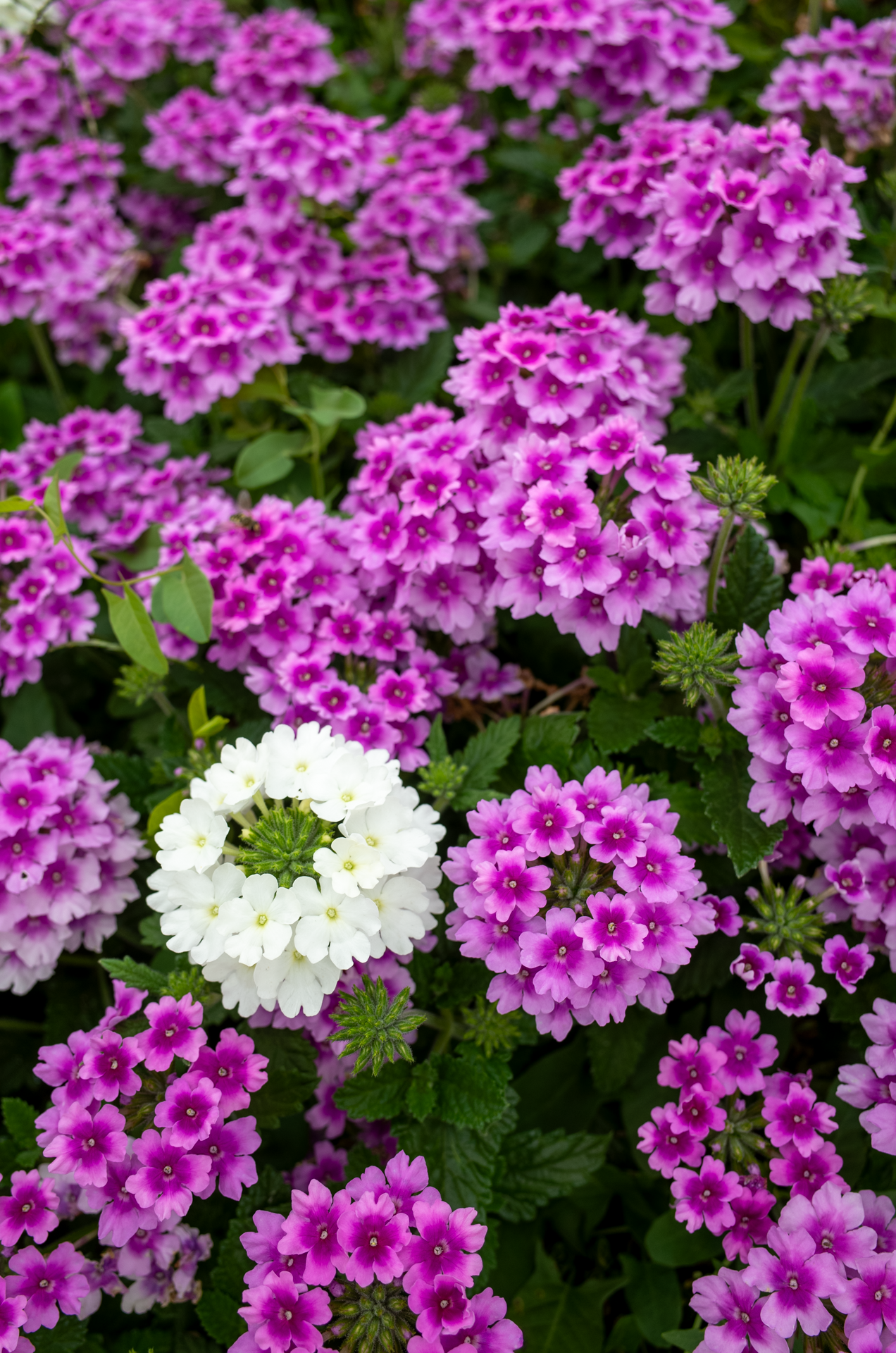 R0231422.png