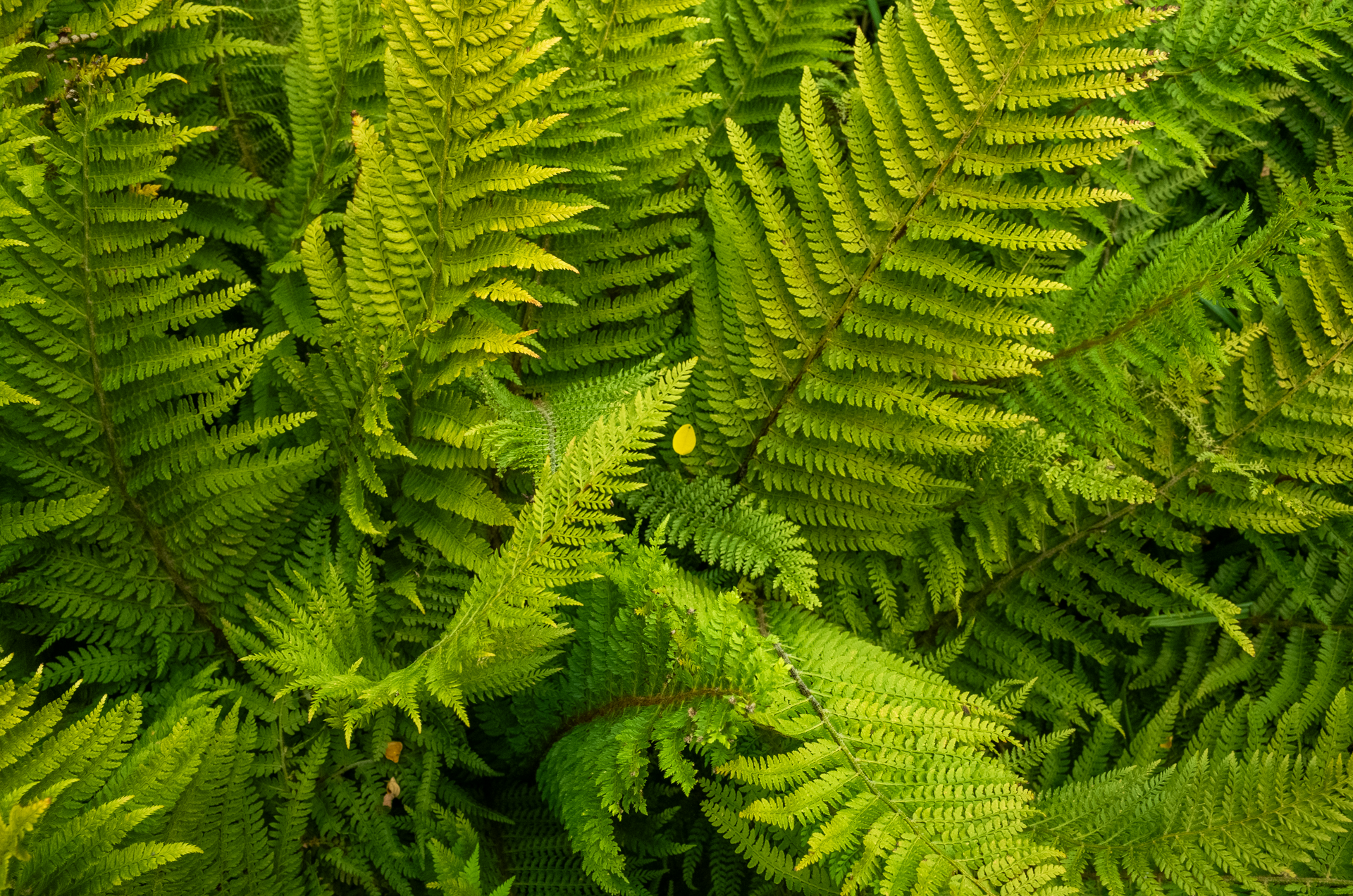 R0231646.png