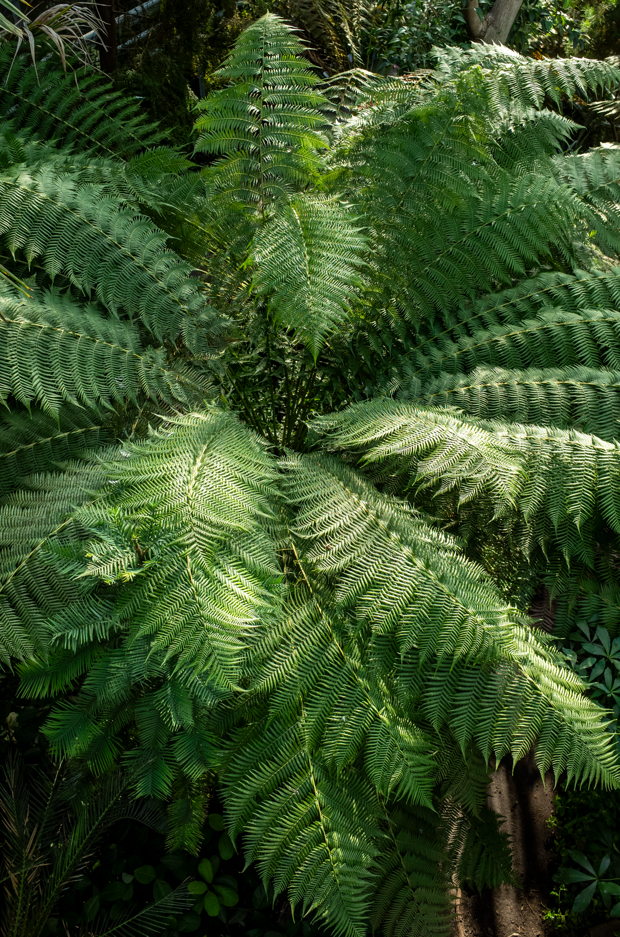 R0231749.png
