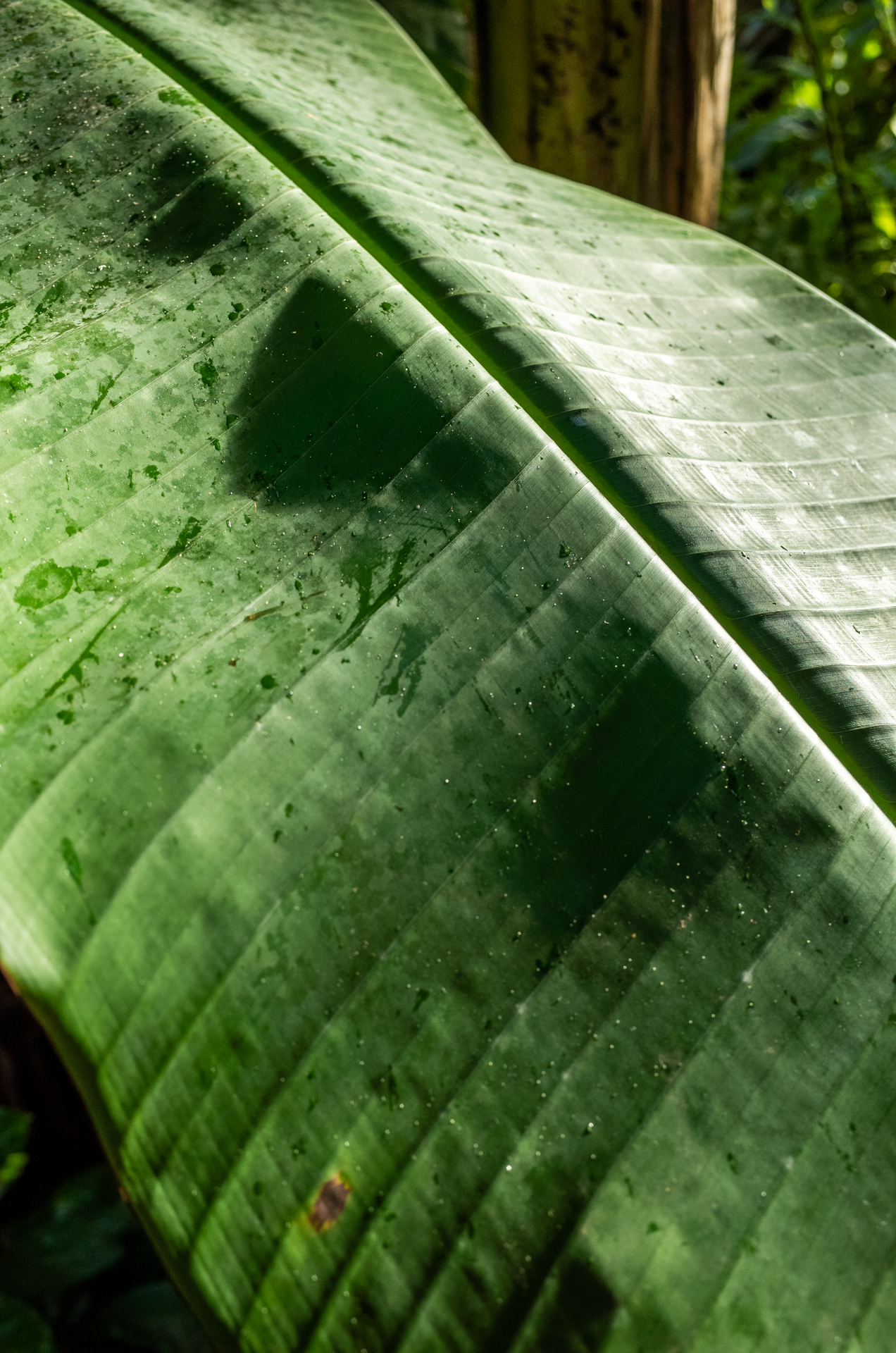 R0231750.png