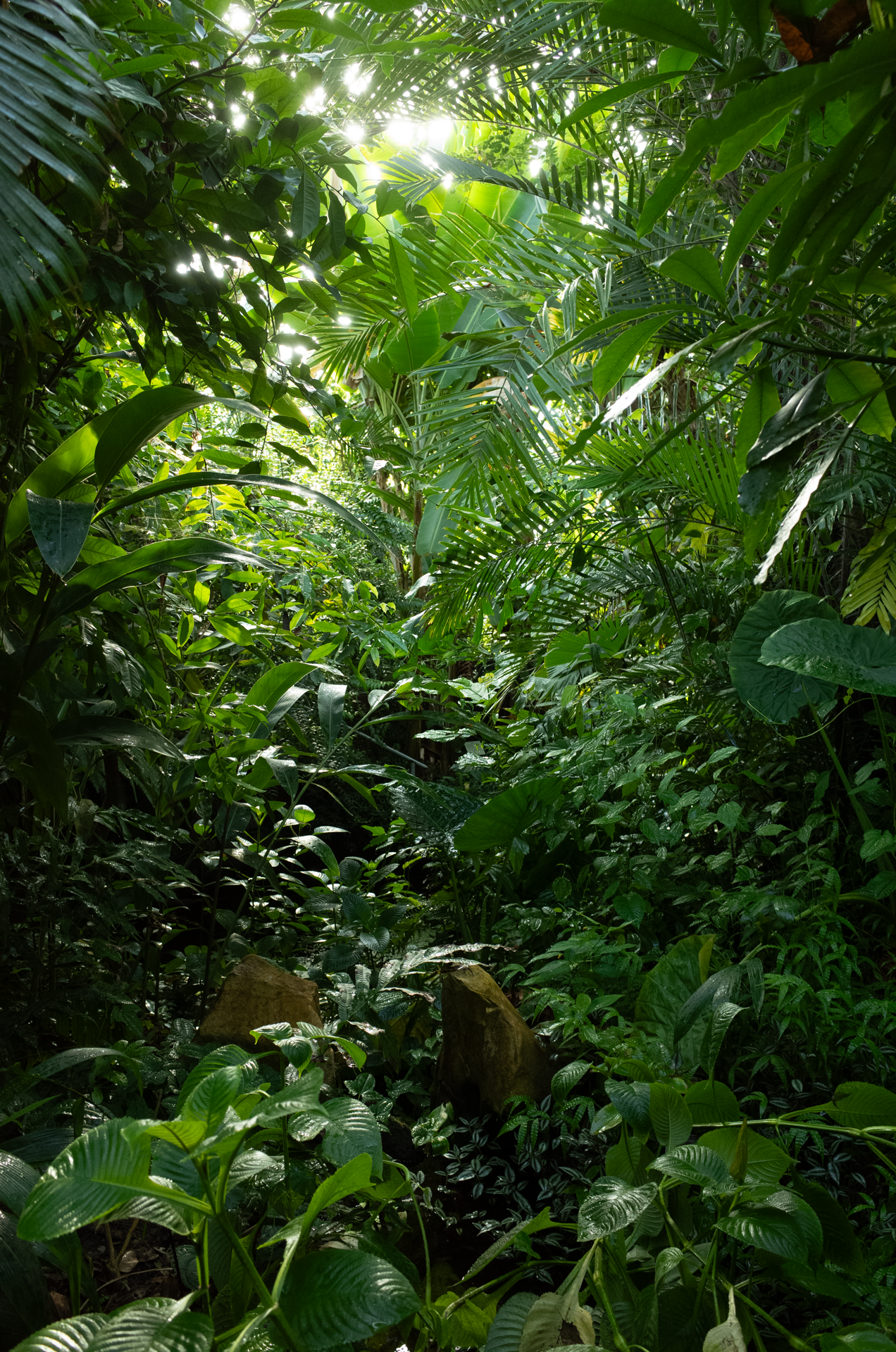 R0231753.png