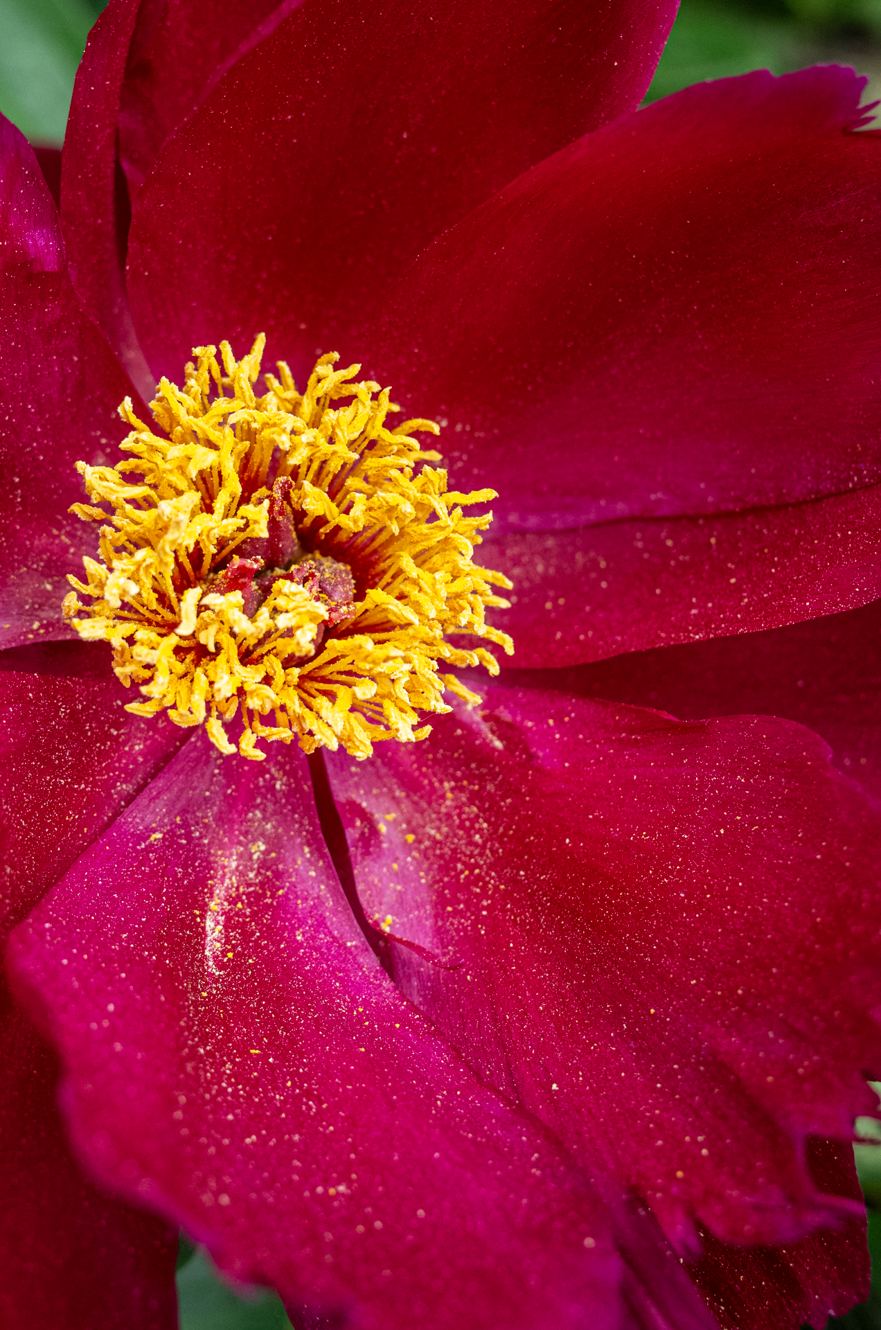 R0239357.png