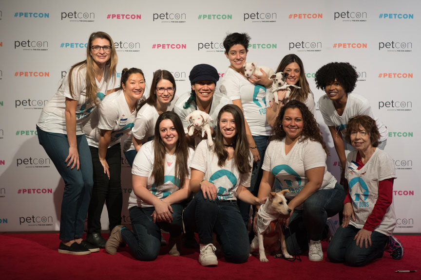 5-petcon-steering-committee.jpg