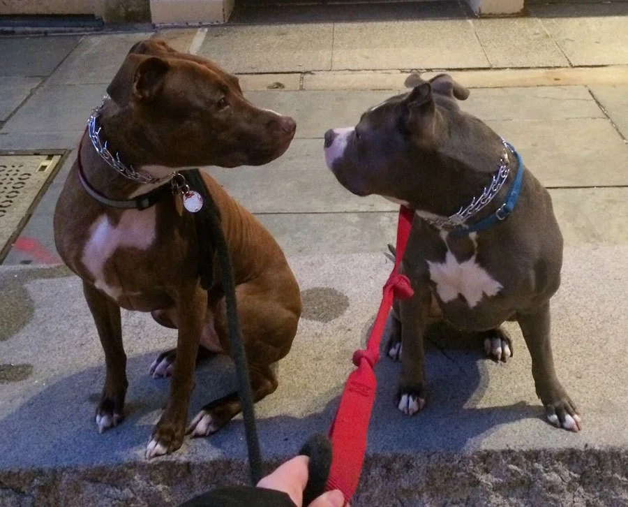 On the same bench, a few weeks later