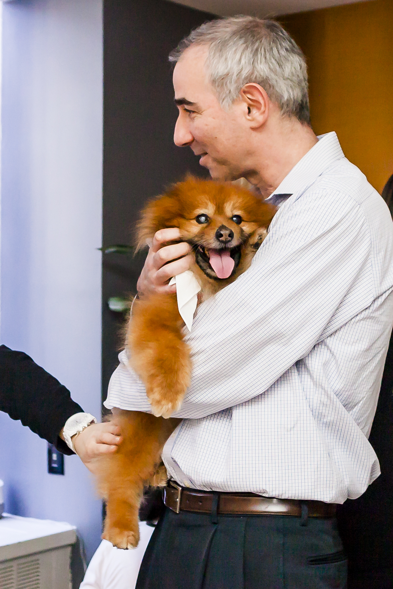 FosterDogs_DiscoveryPuppyParty_20180326_4991_©StaceyAxelrod.jpg