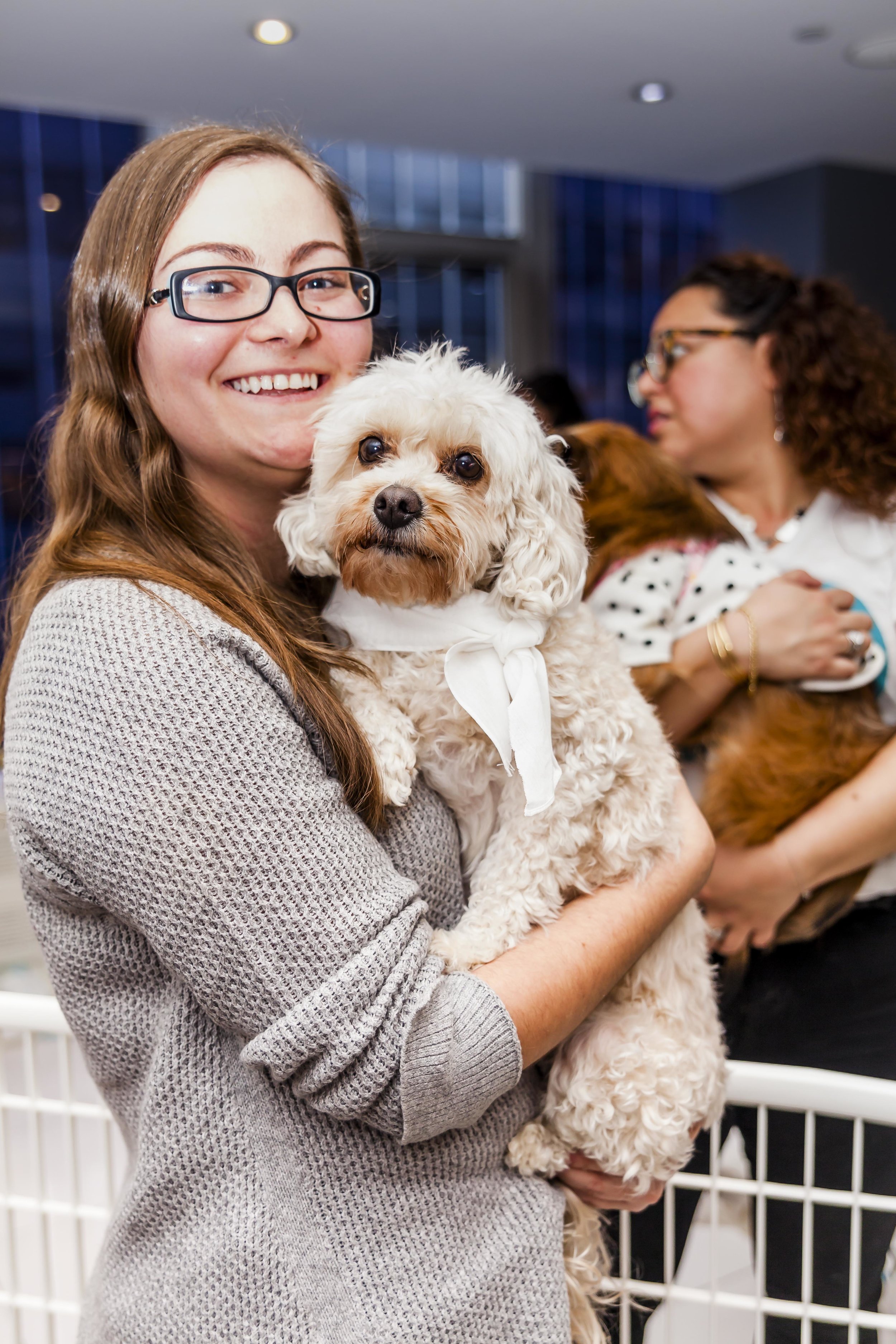 FosterDogs_DiscoveryPuppyParty_20180326_5233_©StaceyAxelrod.jpg