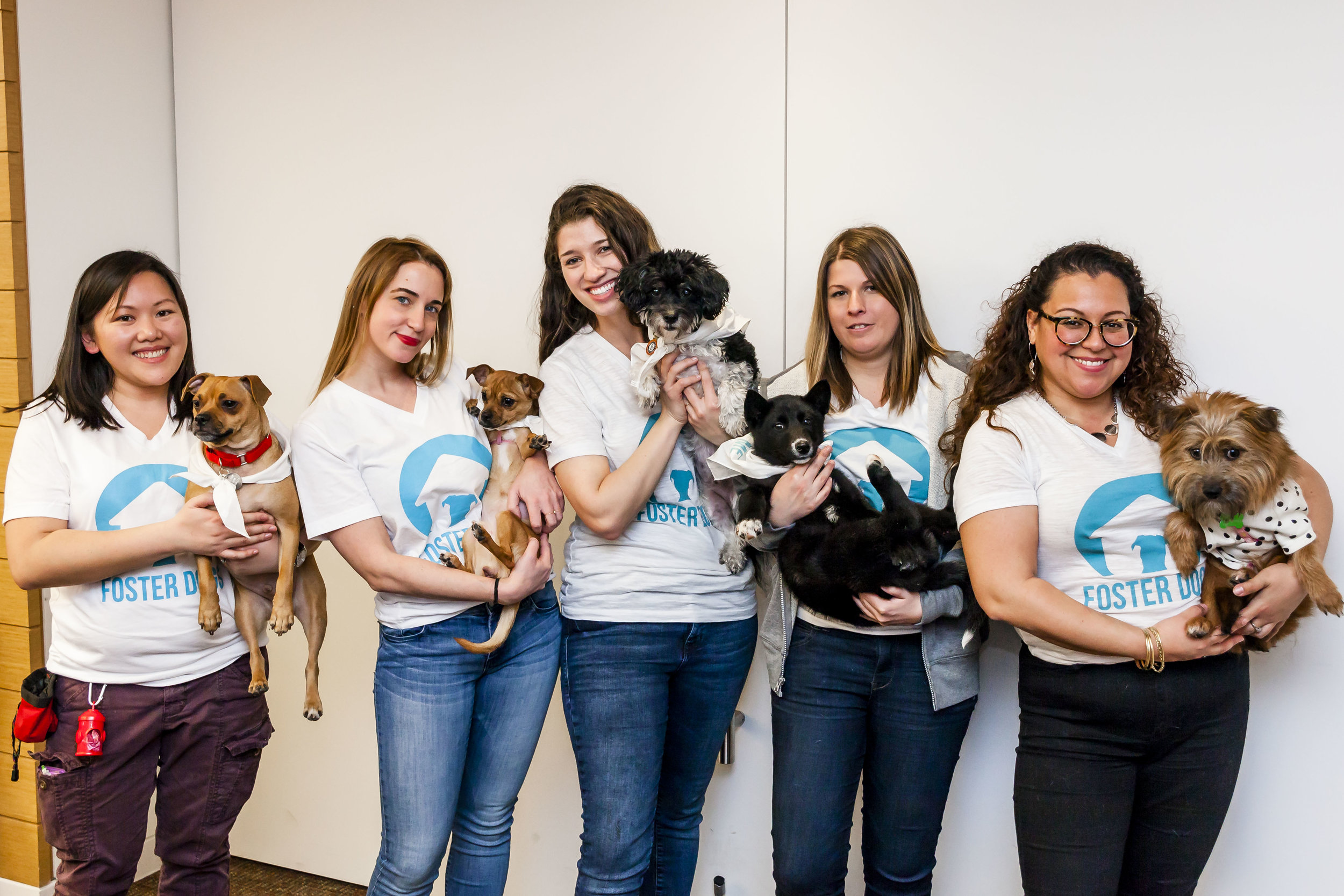 FosterDogs_DiscoveryPuppyParty_20180326_5272_©StaceyAxelrod.jpg