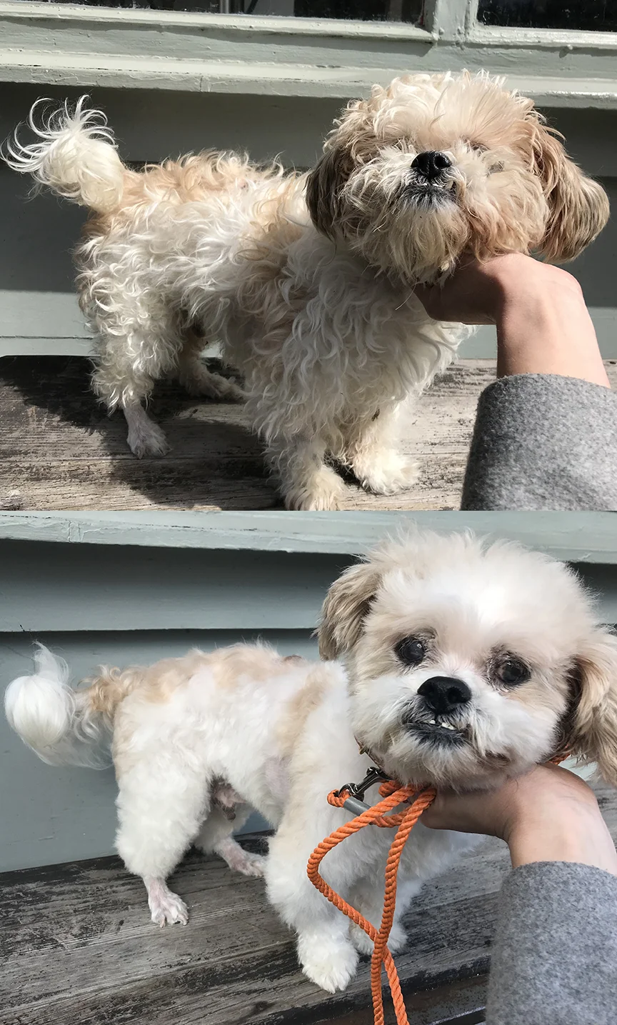 New 'do: BEFORE .. AND AFTER!