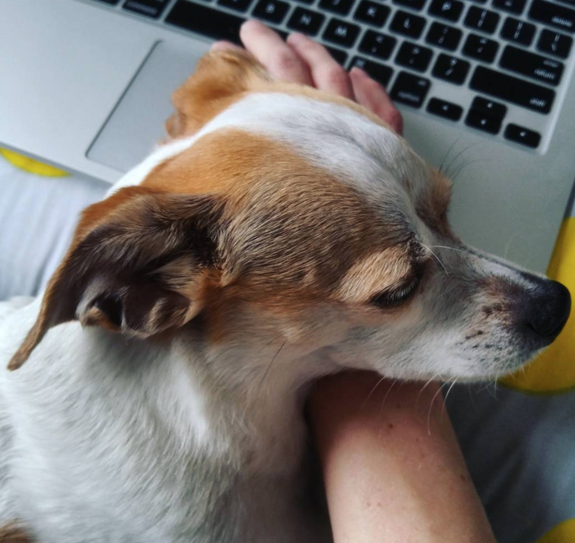 Adopted dog Chinso, with mama Tina M.