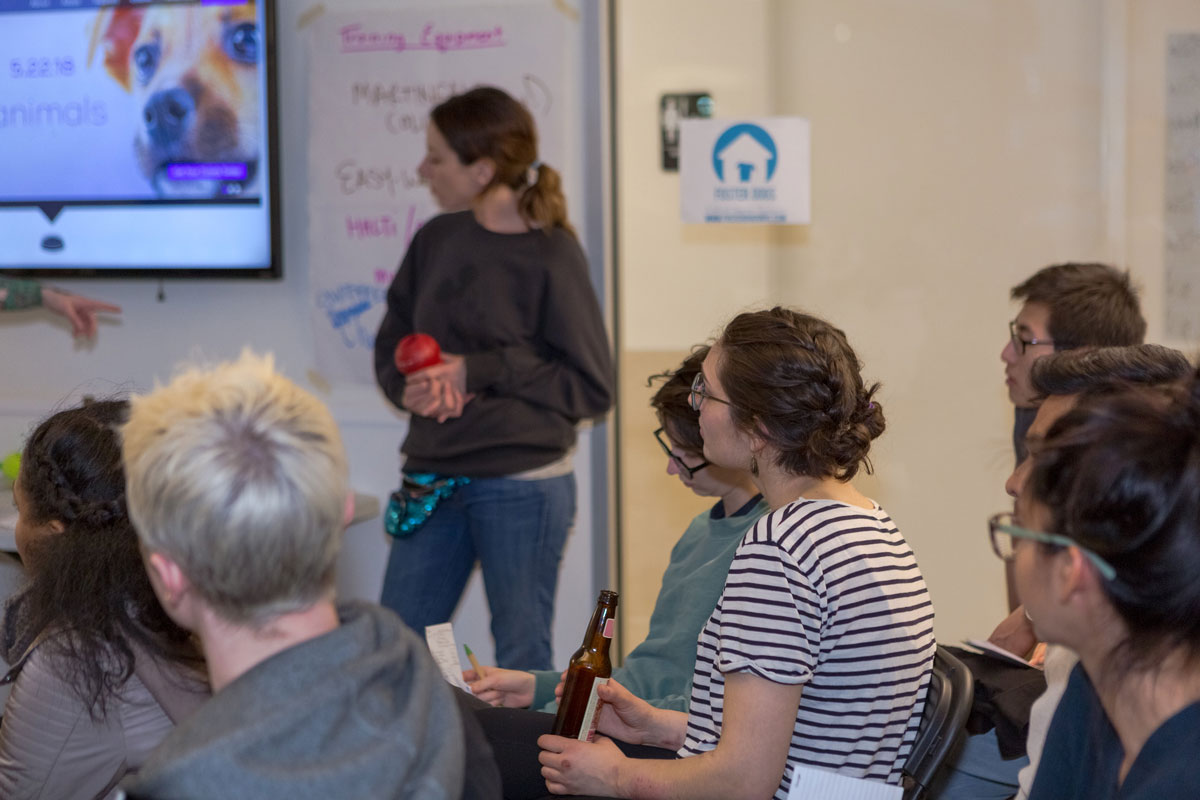 FosterDogs_Melissa_Instinct_AnimalHaven.jpg