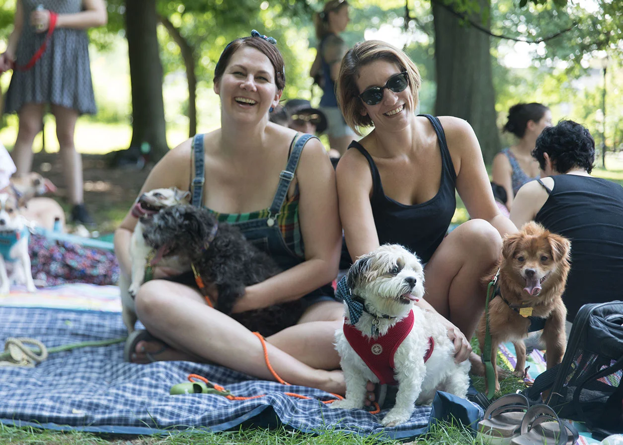 Fospice mom Tracy with Albie & Tugboat, and Nancy with Linus & Gilligan: All ACC rescues!