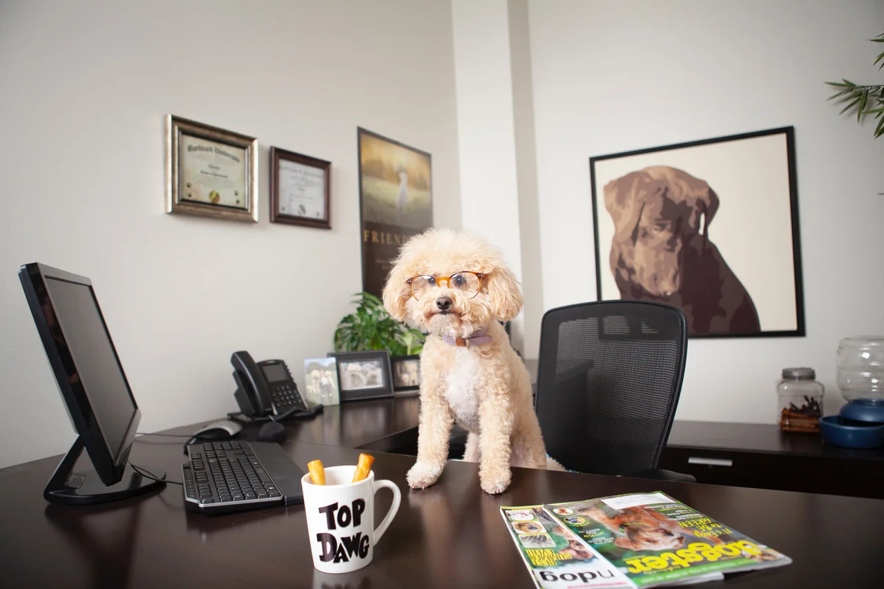 Petmate CFO - Charlie.jpeg