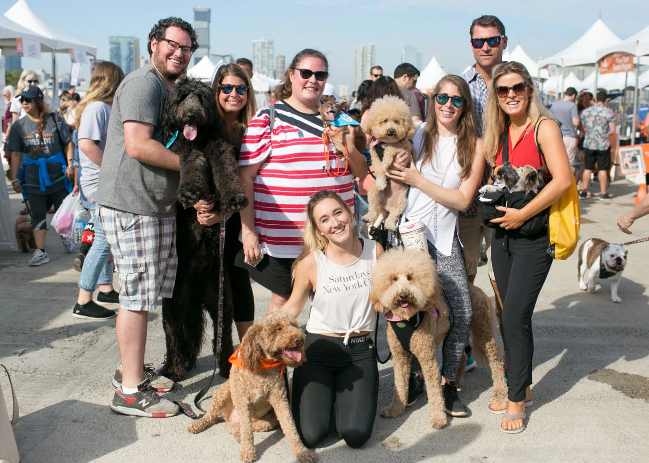 Strut Your Mutt 2017, with some of our favorite celeridogs! Credit: Real Happy Dogs