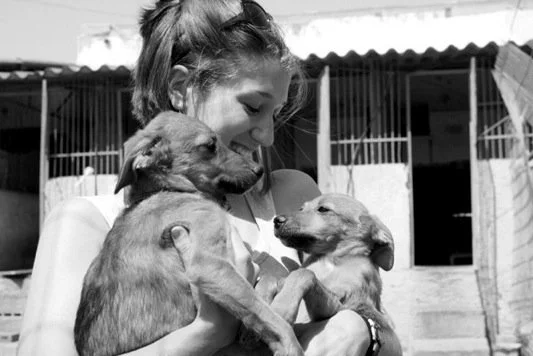 sarah_brasky_dogs.jpg
