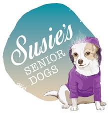 Susies Senior Dogs.jpg