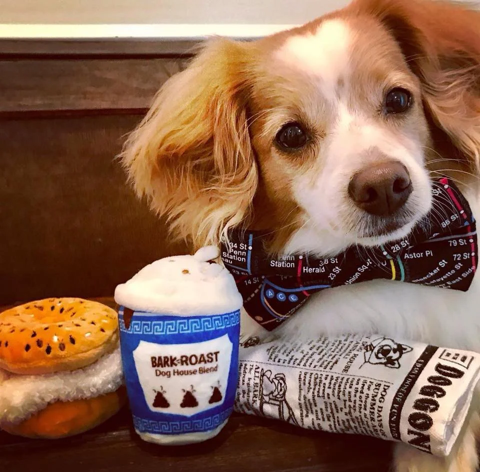 BARK Yappy Hour
