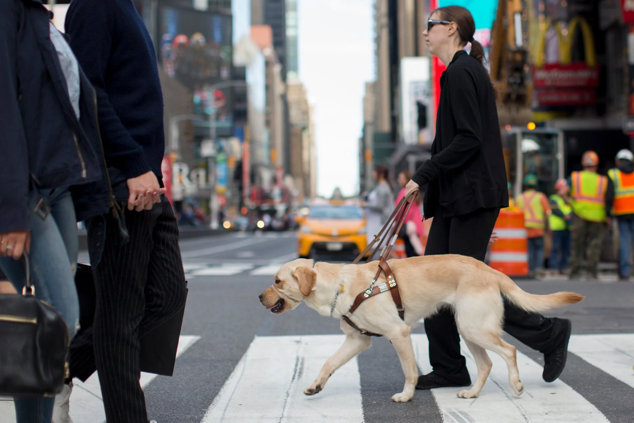Photo: Dave Sanders, The New York Times