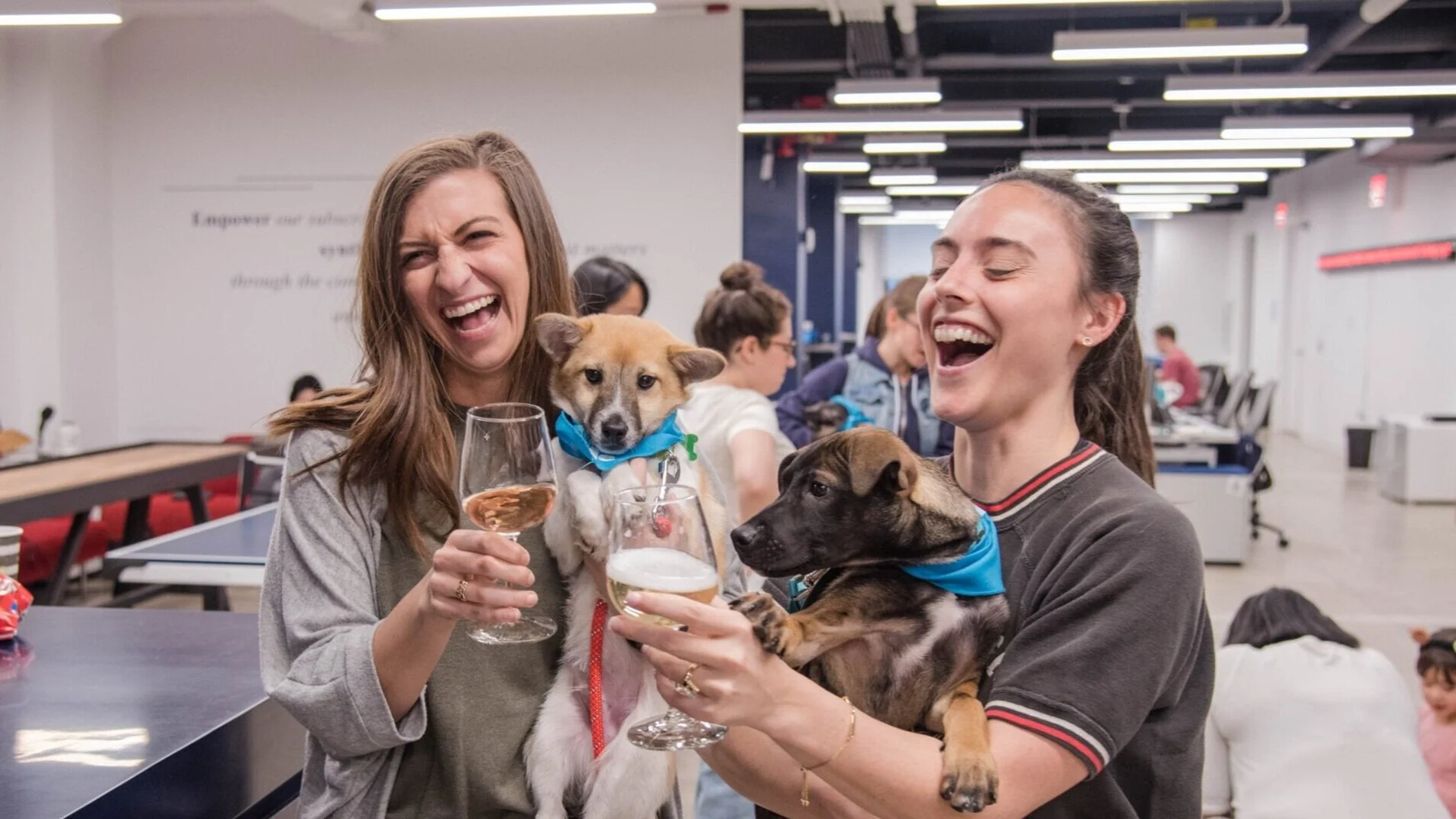 FosterDogs_Gayathri_Reorg38%25281%2529.jpg