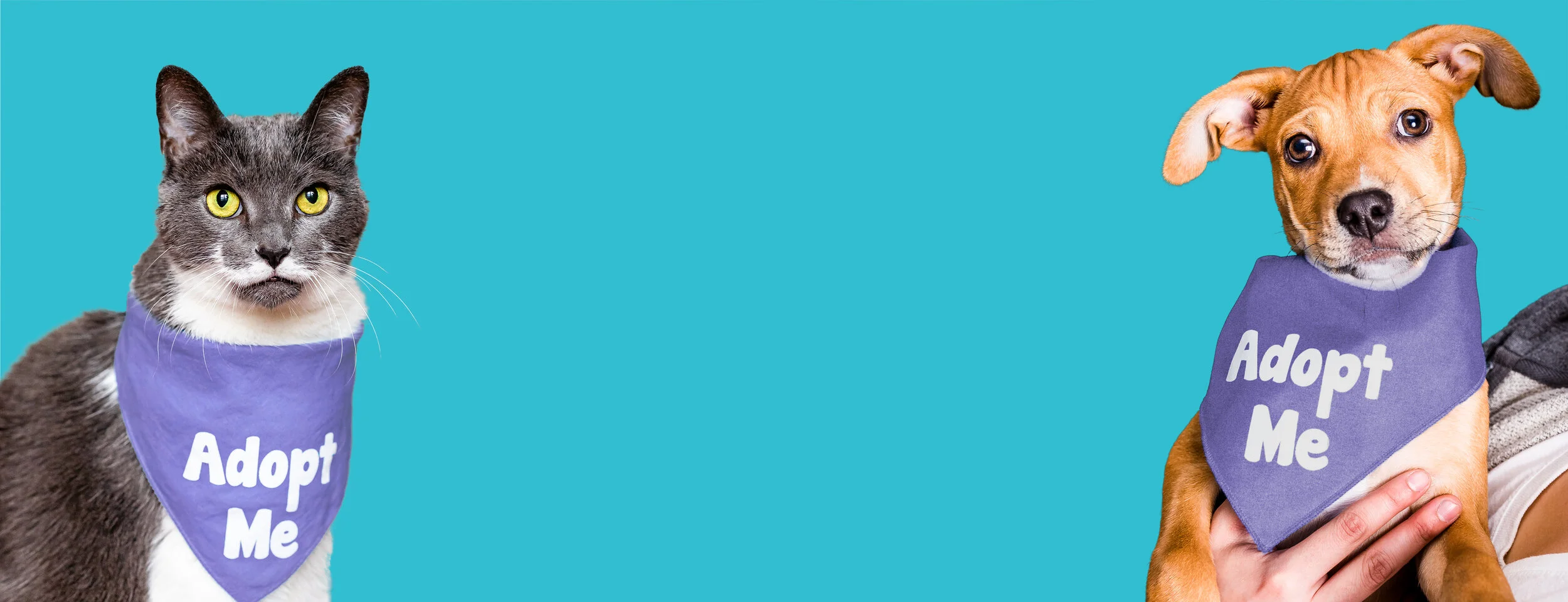 !!WWF-Header-squarespace-banner-notext.jpg