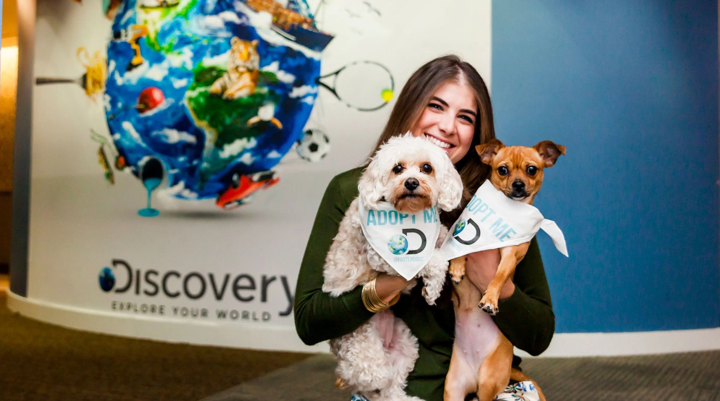 FosterDogs_DiscoveryPuppyParty_StaceyAxelrod_s.jpg