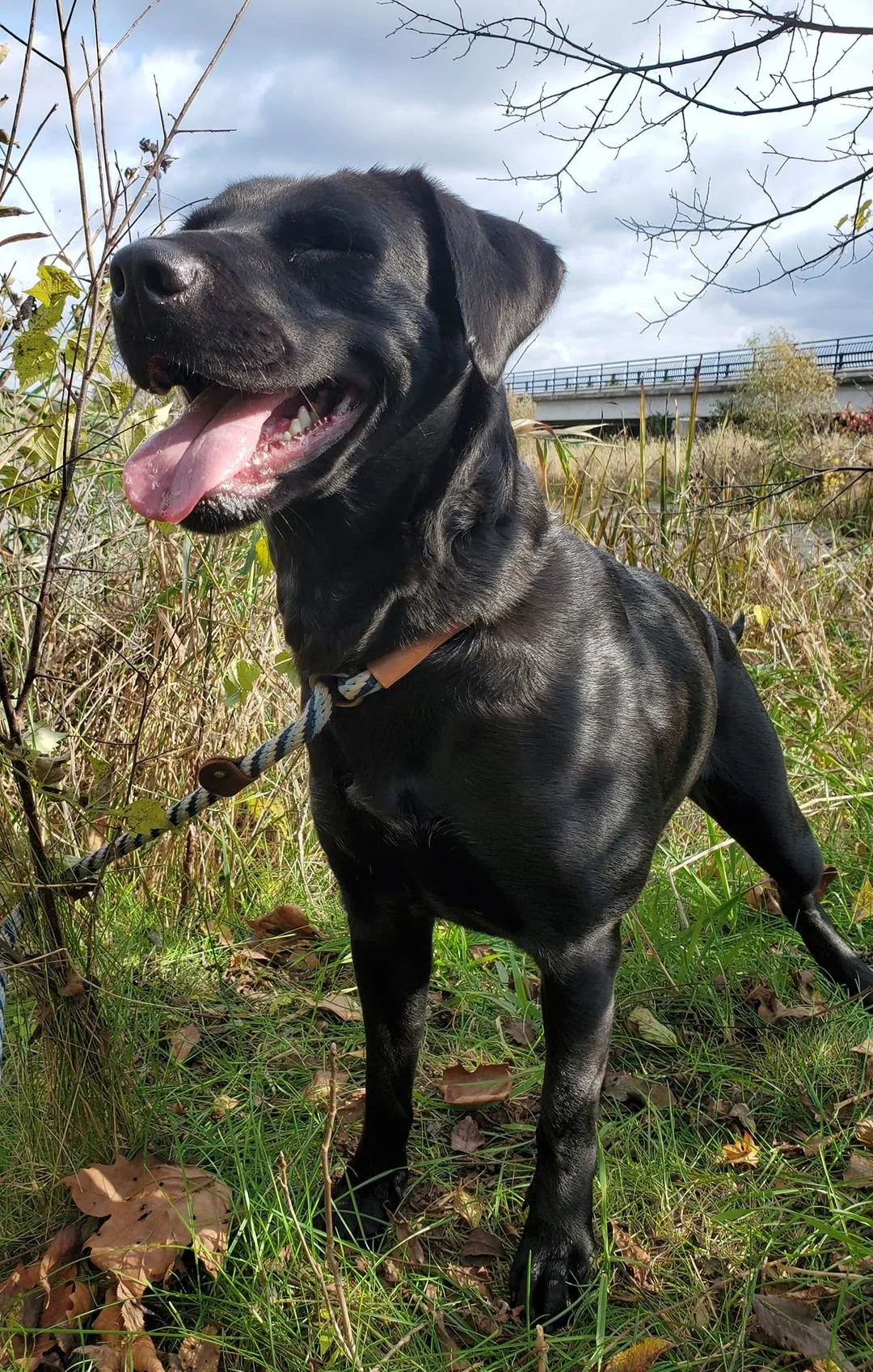 "But... How Do You Say Goodbye?" A Foster Story You Won't Believe