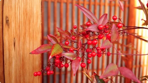 スクリーンショット 2015-12-01 22.41.10.jpg