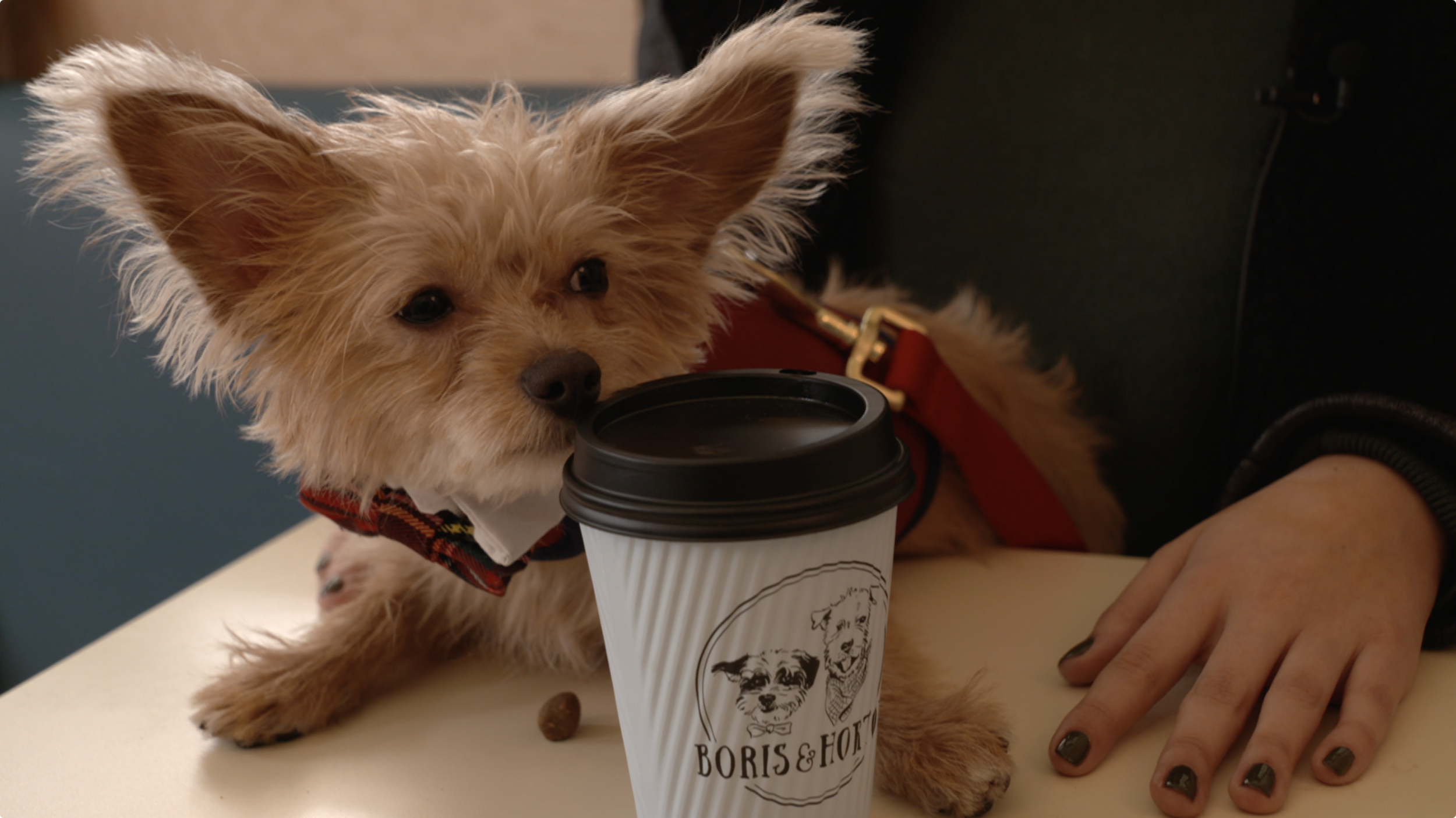 Screen Shot 2018-02-15 at 00.39.40.png