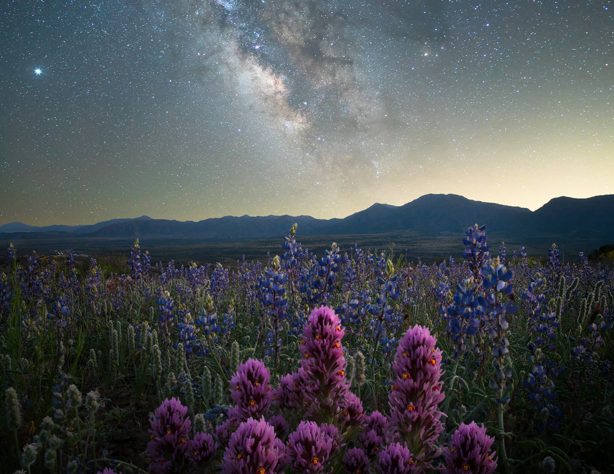 MilkyWay Payson Flowers