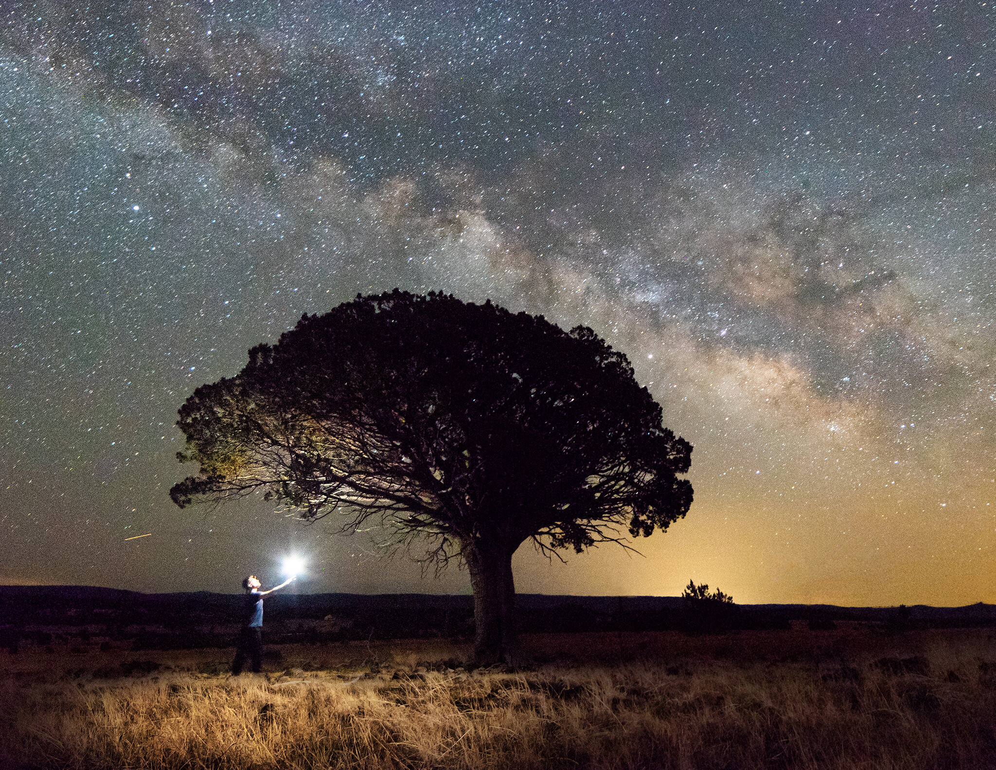 Lonely Tree under the MilkyWay