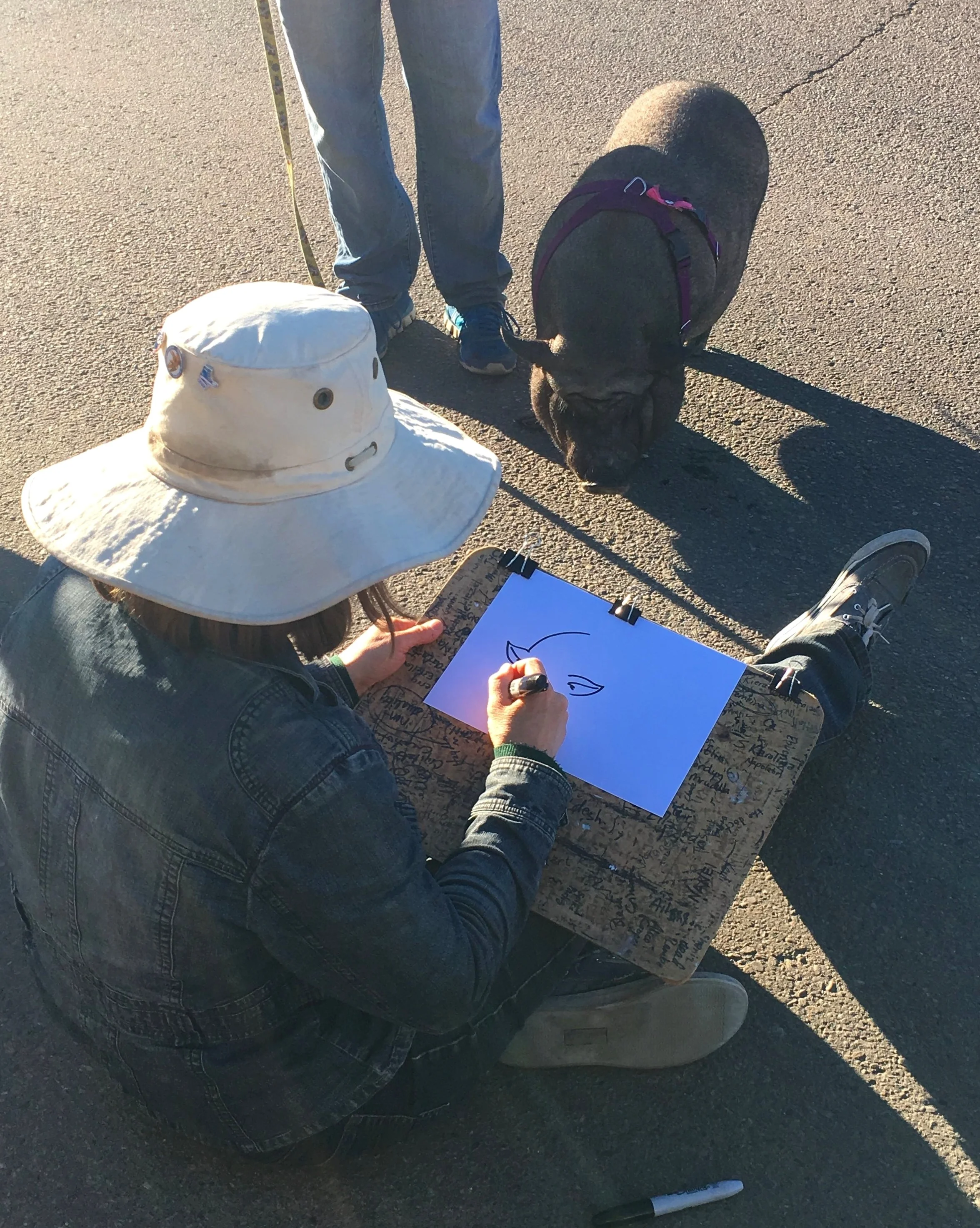 Dogs (and pigs!) welcome! Minnie the pig having her caricature drawn by Susanne Ritchie, 2017/2018/2019 artist.
