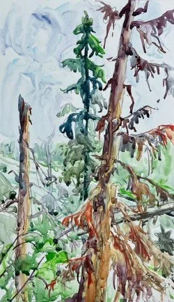 Exploring Watercolour Paper & Colours
