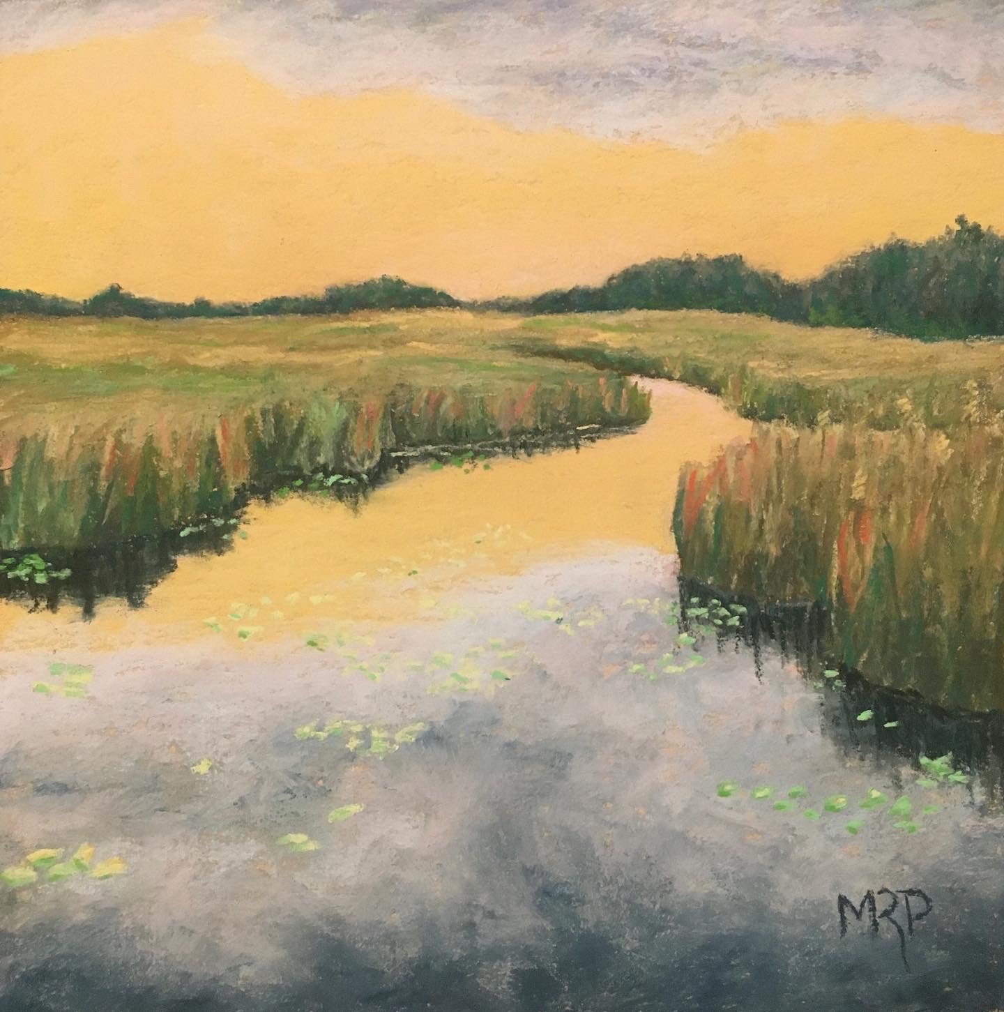 Glowing Marsh - Meaghan Ray