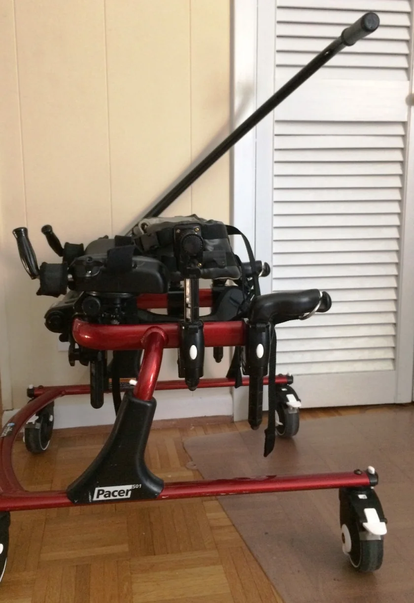 A Rifton Pacer gait trainer (even has a parent push bar) size 501: