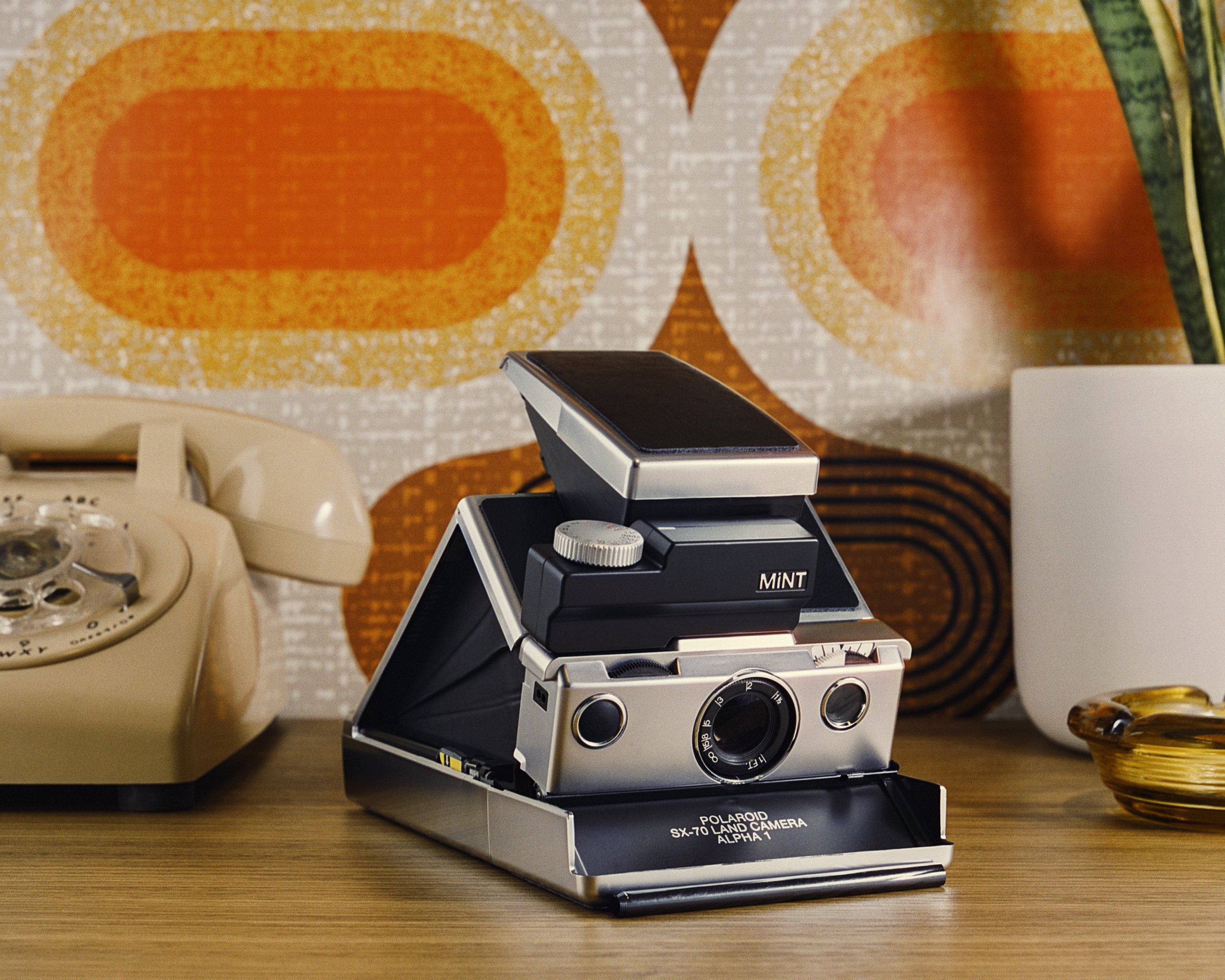 Manzo_CE_SX70_074 copy.jpg