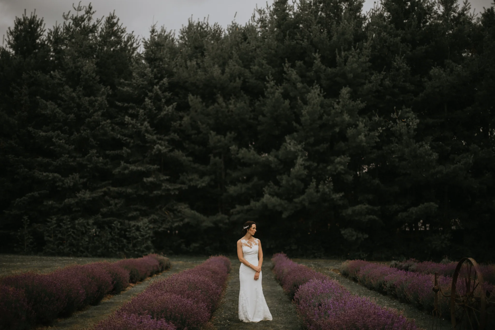 jess (45 of 50).jpg