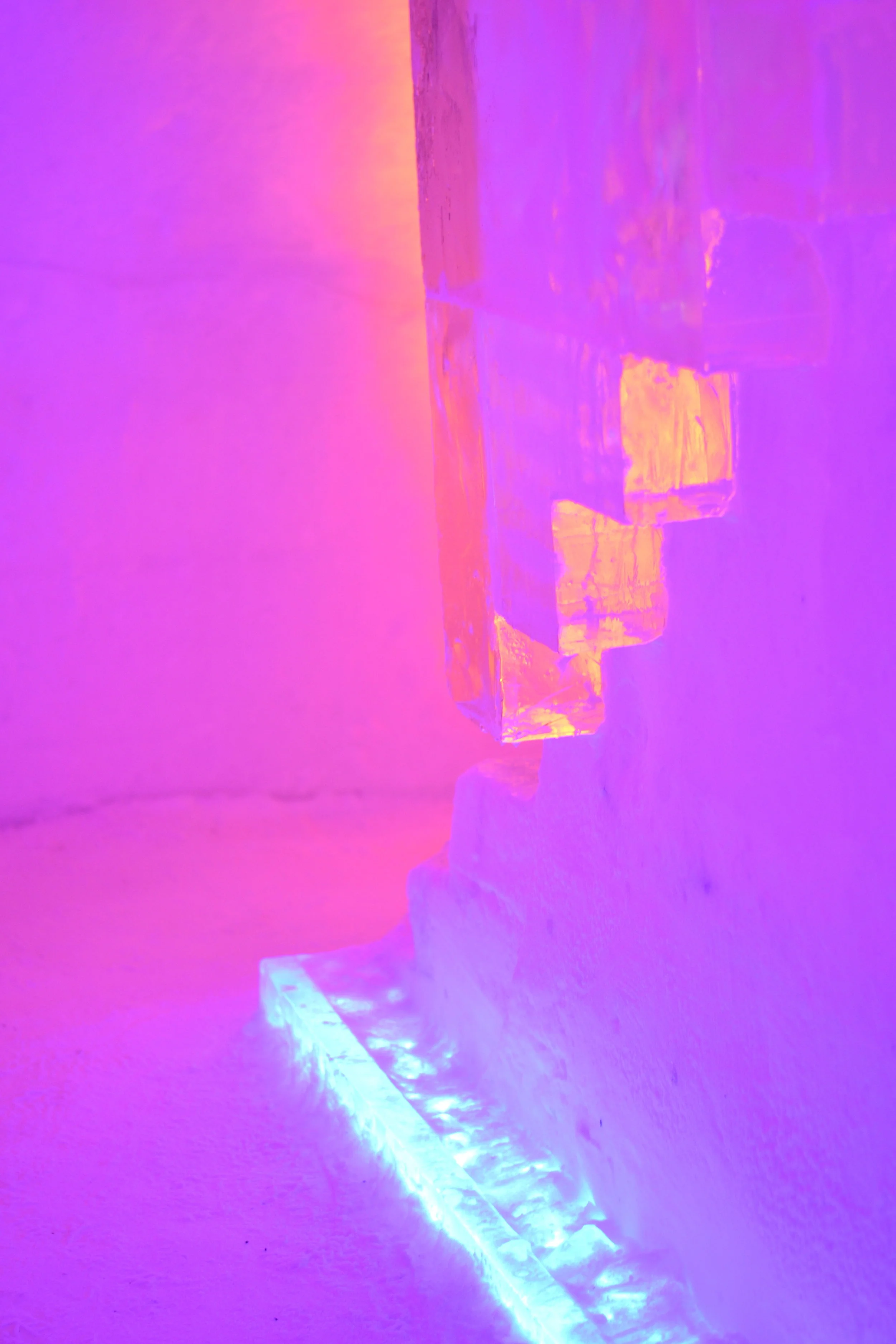 DSC_0231.JPG