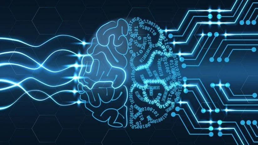brain_banner.jpg