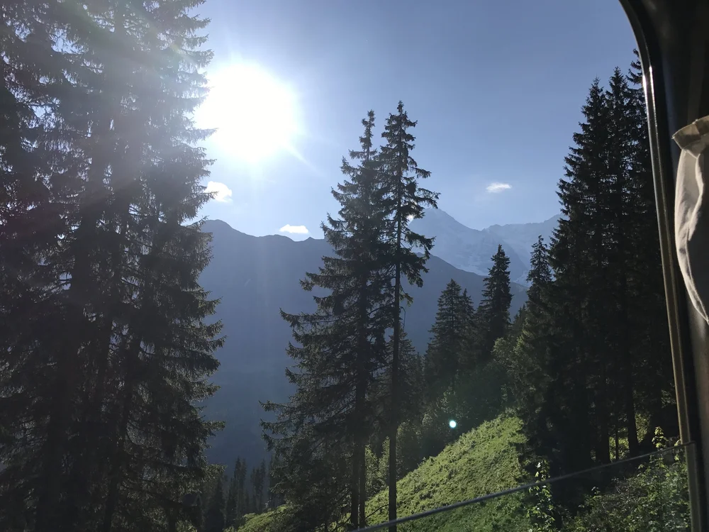 Train ride to Mürren