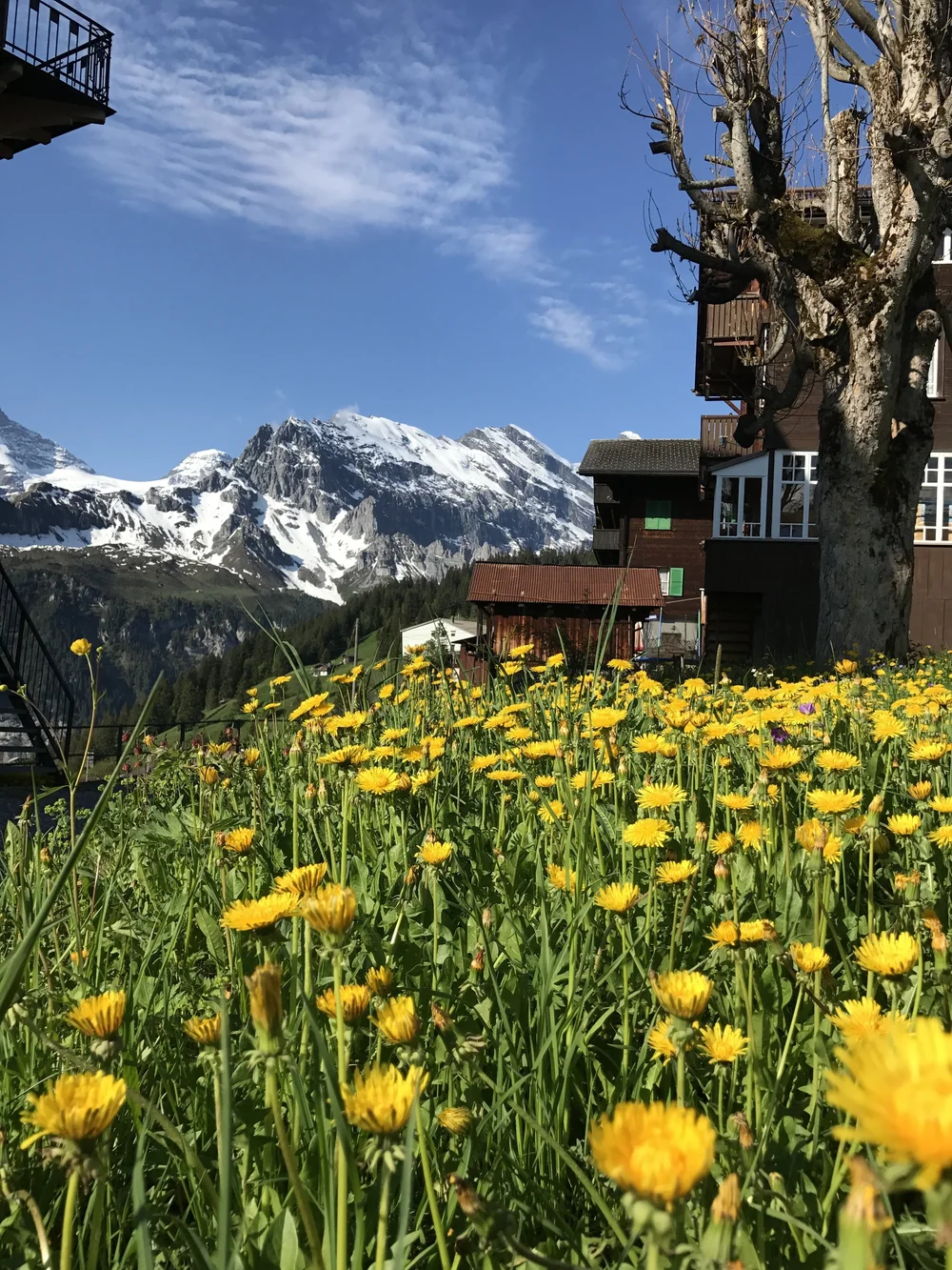 Mürren