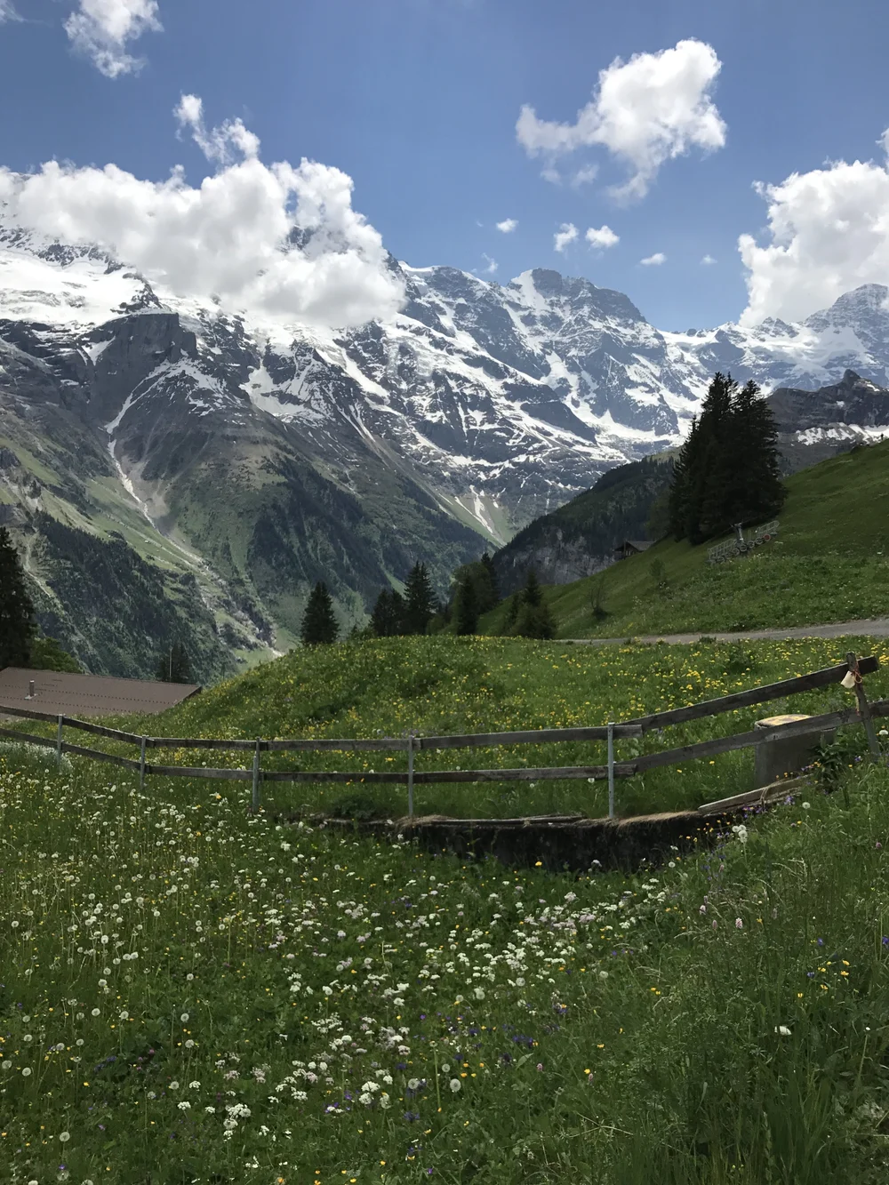 Mürren